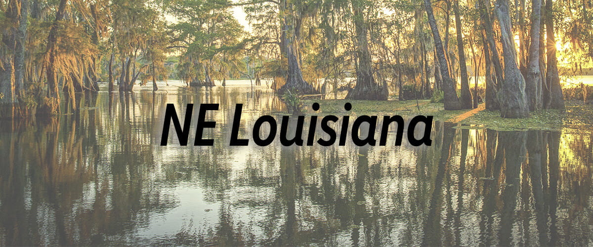 Northeast Louisiana