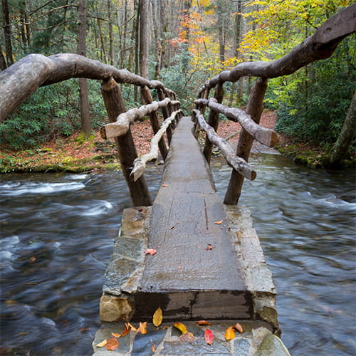 Tri-Cities Walking Path