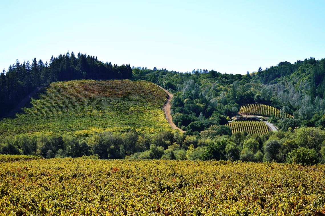 Sonoma