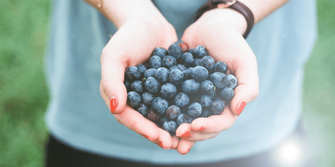 hands holding blueberries