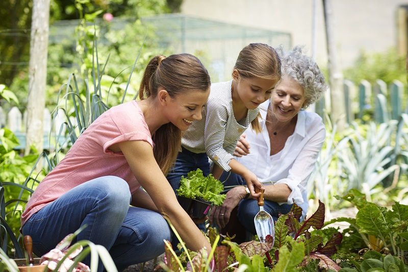 Gardening Three generation females gardening together in yard