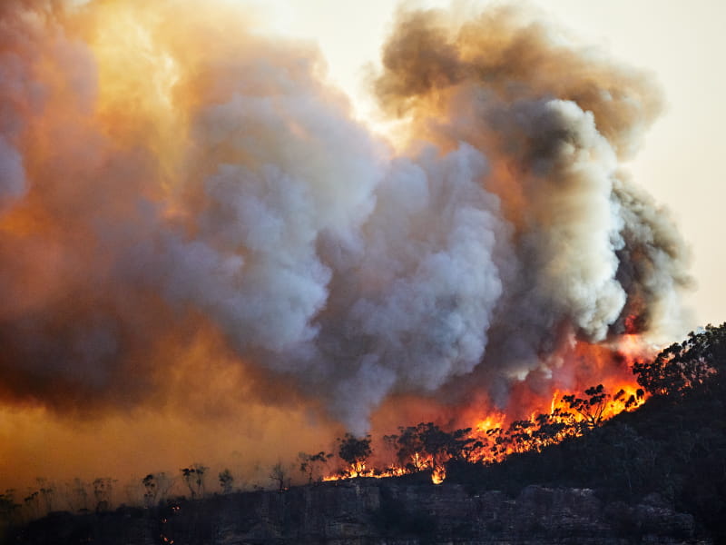 Breathing wildfire smoke may raise risk of cardiac arrest | American Heart  Association