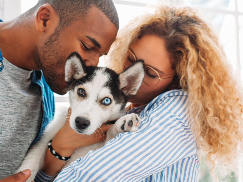 These Super Sunday puppies aren't just adorable, they can be good for health  | American Heart Association