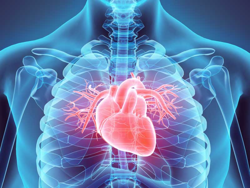 Immune-boosting cancer treatment may pose cardiovascular risk | American  Heart Association