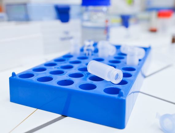vials and beakers in a research lab