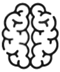 brain icon