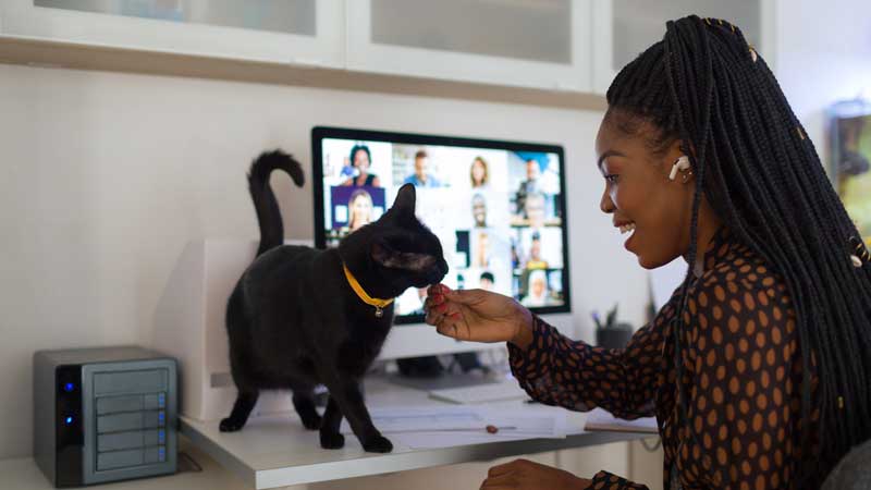Pet friendly Perks Are Valuable to Employees American Heart Association