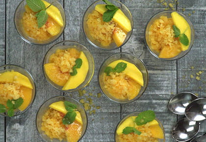 Peach Mango Italian Ice with Vanilla Frozen Yogurt