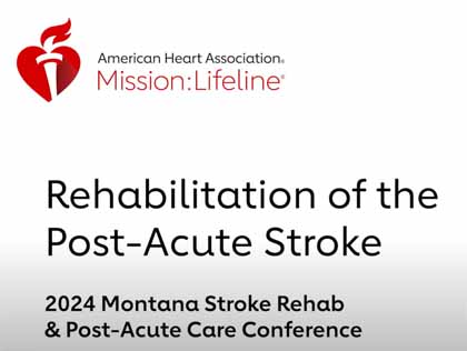 Rehabilitation of the Post Acute Stroke