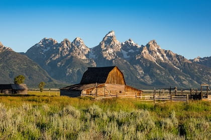 WY Feature Story 2026