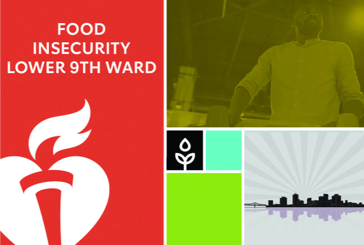 Food insecurity lower 9th ward