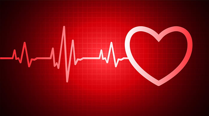 an illustration of a heartbeat connecting to a cartoon-style heart shape