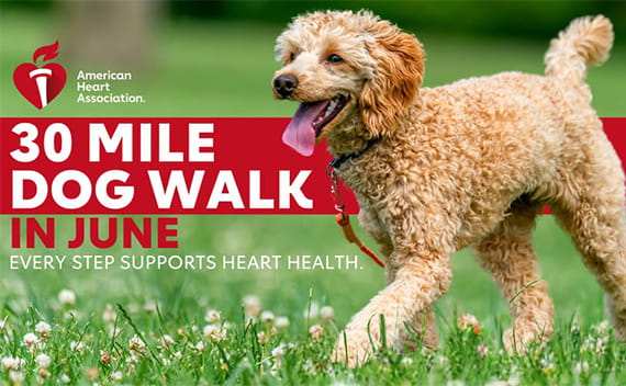30 Mile Dog Walk Challenge in June