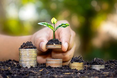 close up of a hand holding a stack of coins with some gardening soil and a seedling growing out of it near other stacks of coins in soil