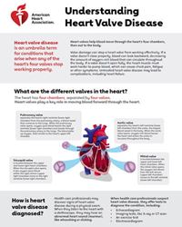 Understanding heart valve disease infographic