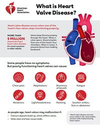 What is heart valve disease infographic