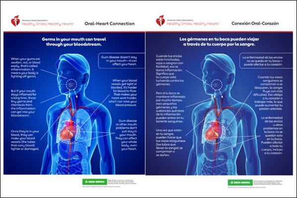 Oral and heart health connection infographic