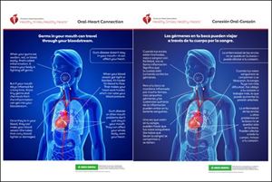 Your Mouth and Heart are Connected infographic