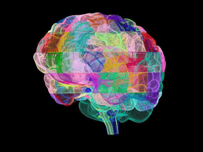 Science Photo Library - PASIEKA/Brand X Pictures via Getty Images