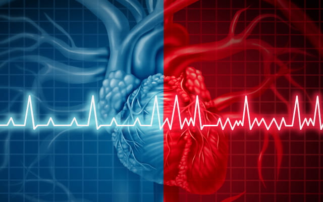 a colorful illustration of a human heart with a heartbeat graph stretching across the image