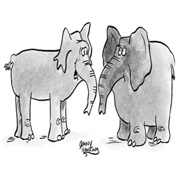 Skinny elephant talking a pudgy one "The best part is, some ecology group paid the the liposuction."