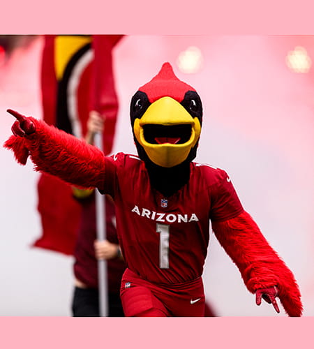 Big Red, the Arizona Cardinals mascot
