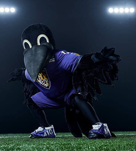 Poe, the Baltimore Ravens mascot