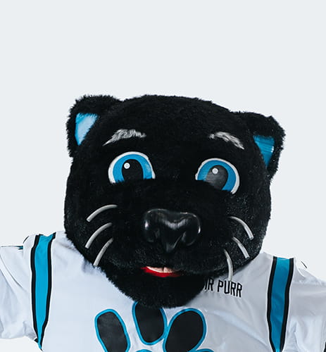 Sir Purr, the Carolina Panthers mascot