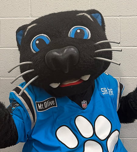 Sir Purr, the Carolina Panthers mascot