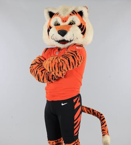 Who Dey, the Cincinnati Bengals mascot