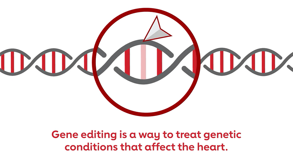 ATTR-CM Gene Editing Video Image