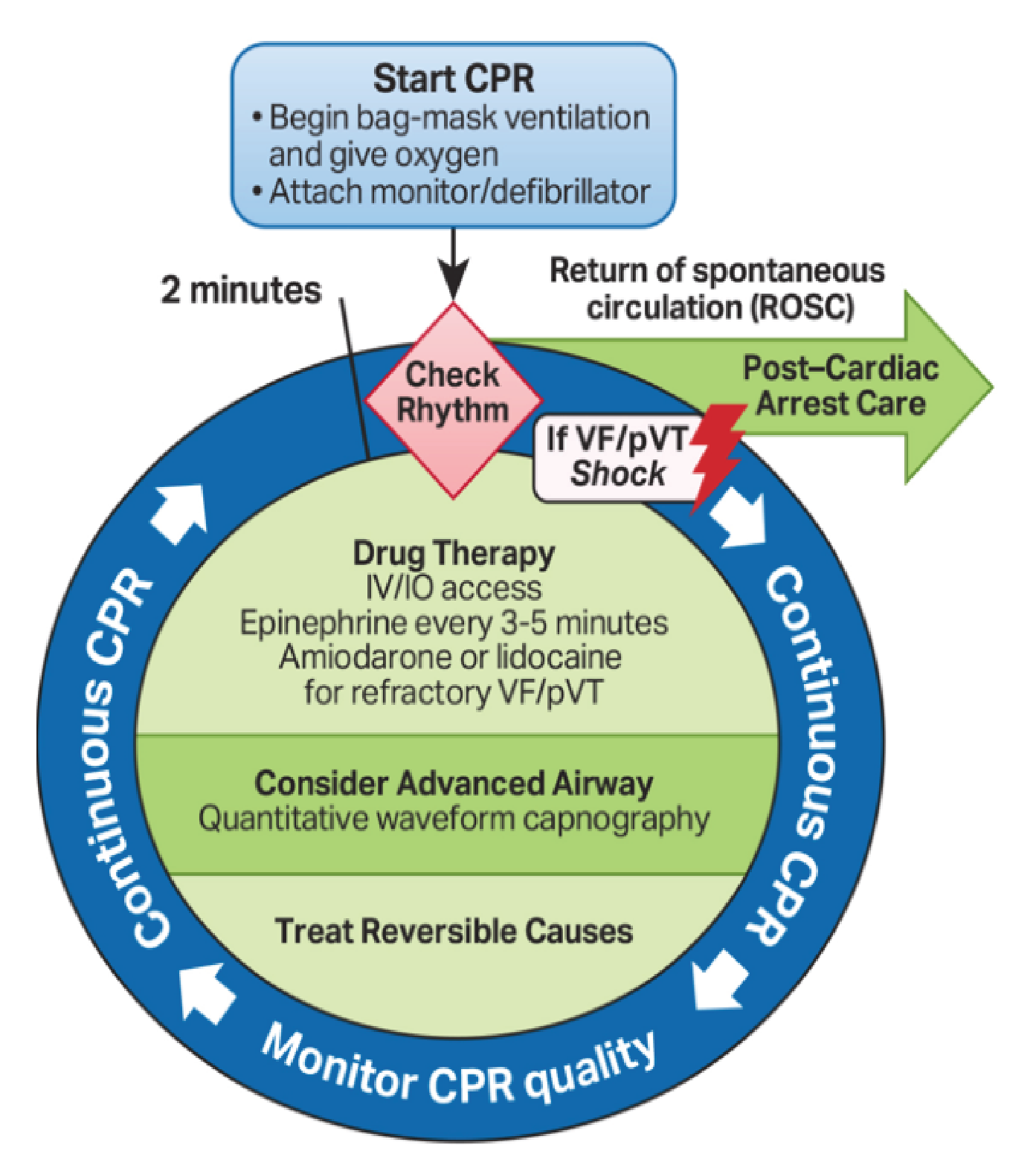 Quality CPR Graphic