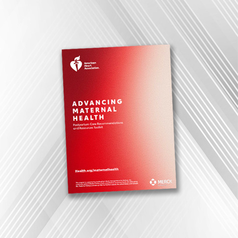 picture of the cover of the Maternal Health Recommendations
