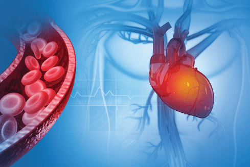 ACS heart and vein function