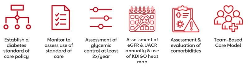 Establish a diabetes standard of care policy, Monitor to assess use of standard of care, Assessment of glycemic control at least 2x/year, Assessment of eGFR & uACR annually & use of KDIGO heat map, Assessment & evaluation of comorbidities, Team-Based Care Model