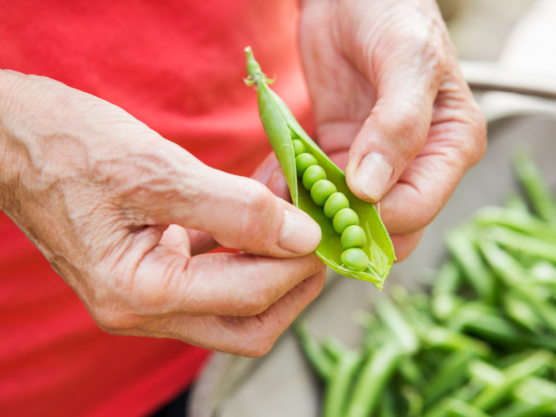 Eating a plant-based diet at any age may lower cardiovascular risk ...